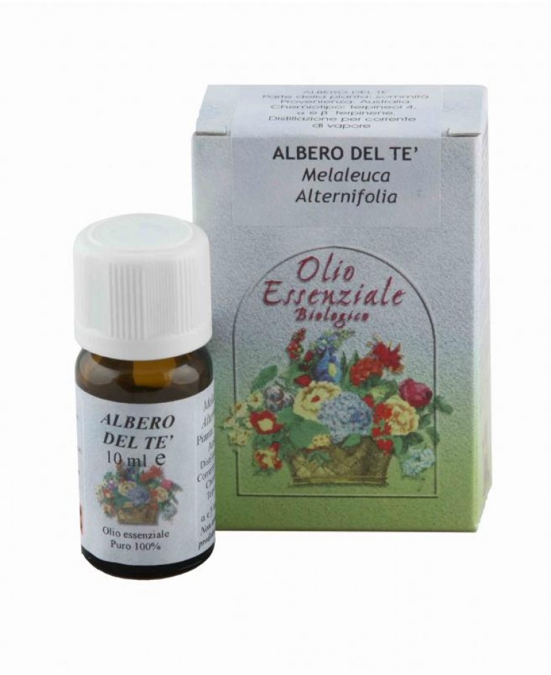 Olio essenziale Albero del tè 10 ml - Tea tree